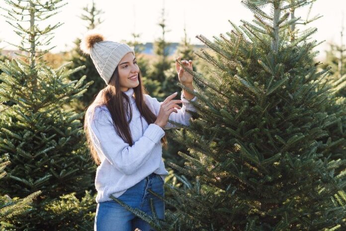 christmas trees near me